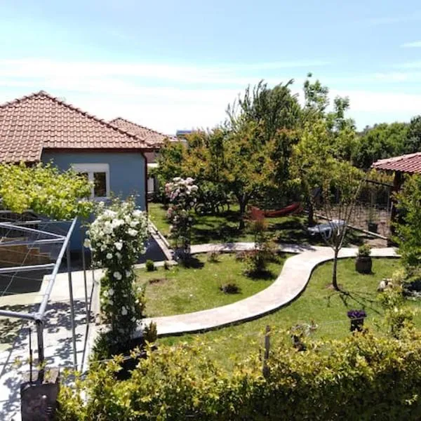 Villa Viktoria Halkidiki，位于Néa Sílata的酒店