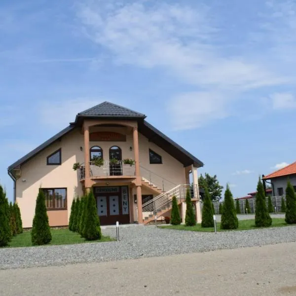 Pensiunea La Beny，位于Galşa的酒店