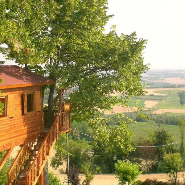 Casa sull'Albero Aromantica，位于Pomaro Monferrato的酒店