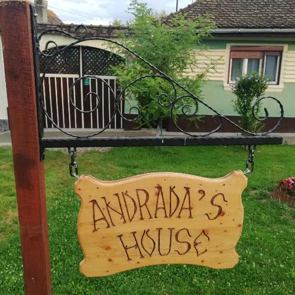 Andrada's House Soars，位于Bărcuţ的酒店