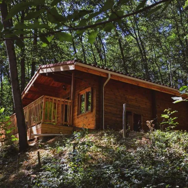 Chalets & Camping Villa Mayari，位于Escosse的酒店
