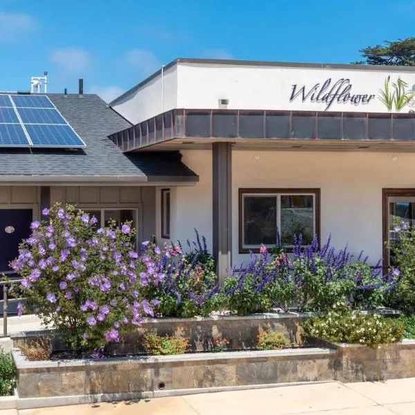 Wildflower Boutique Motel，位于瓜拉拉的酒店