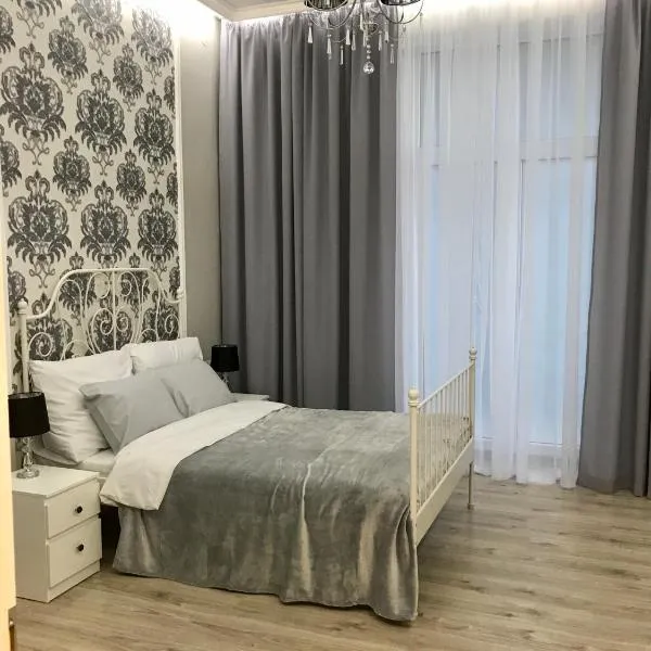 Apartament Mickiewicza，位于普热梅希尔的酒店