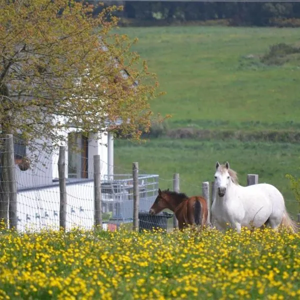 Gîtes & Tiny houses Les Hauts de Toulvern，位于巴登的酒店