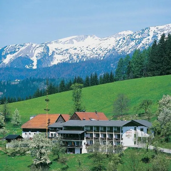 Ausflugshotel Huttersberg，位于Rosenau am Hengstpass的酒店