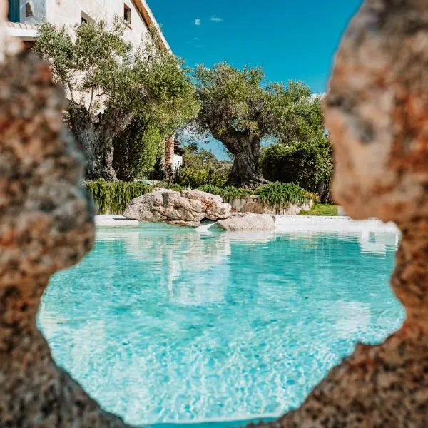 普利奇诺酒店，位于巴哈撒丁岛的酒店