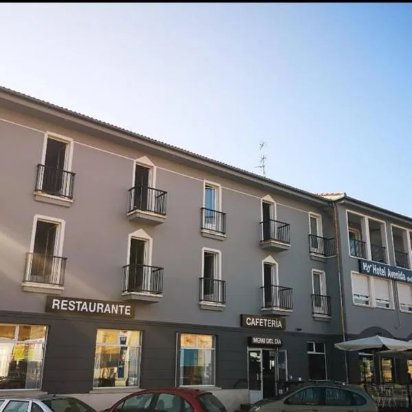 阿维尼达德尔索提约酒店，位于Brieva的酒店