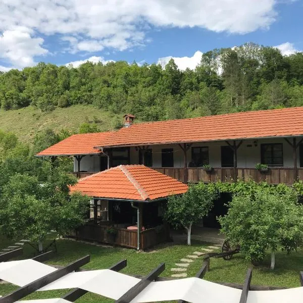 Konak Tosa，位于Trnski Odorovci的酒店
