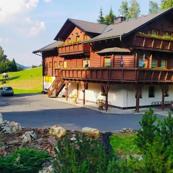 灰熊旅馆，位于Heřmanovice的酒店