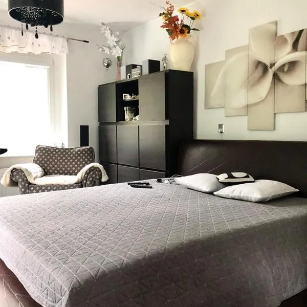 WYPOSAŻONY apartament przy strumyku w Górach Sowich, Netflix i Smart TV, Odpocznij w naturze!，位于瓦利姆的酒店