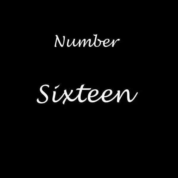 Number Sixteen，位于Shildon的酒店