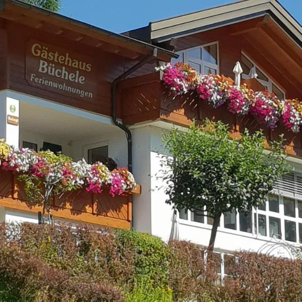 嘎斯特豪斯布切尔酒店，位于希洛谢克的酒店