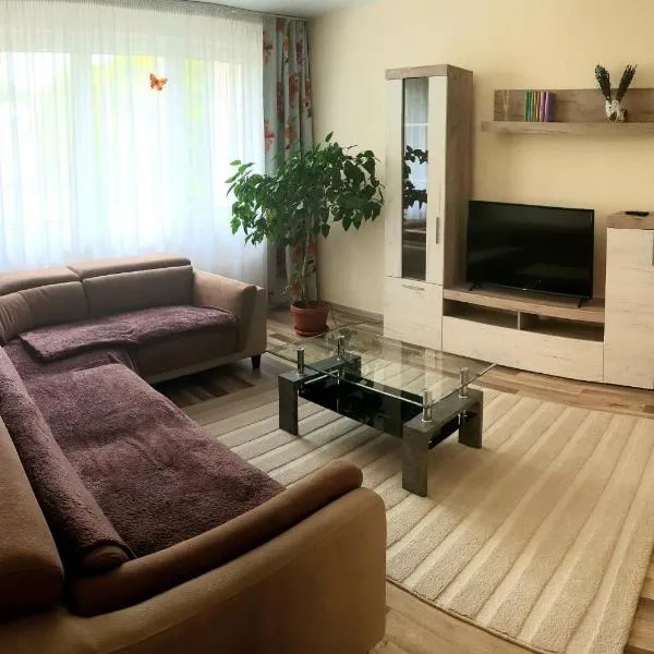 Orhidea Apartman，位于Suseni的酒店