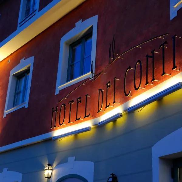 Hotel Dei Conti，位于切奇纳谷新堡的酒店