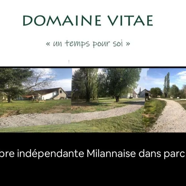Domaine vitae，位于Broût-Vernet的酒店