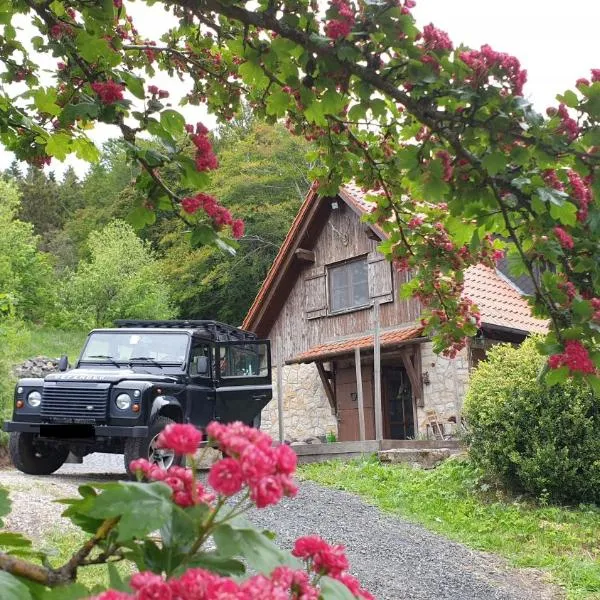 Jagdhaus in der Rhön in völliger Alleinlage，位于Schwarzenborn的酒店