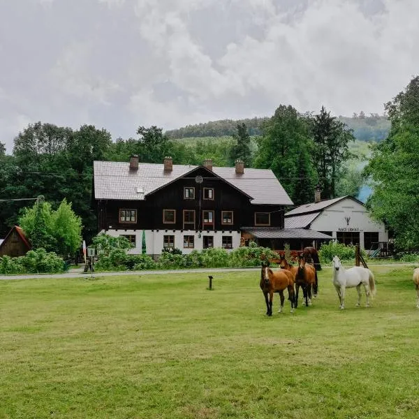 Penzion Račí údolí，位于Horní Hoštice的酒店