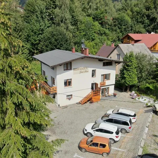 Beskidzka Guest House，位于什切尔克的酒店