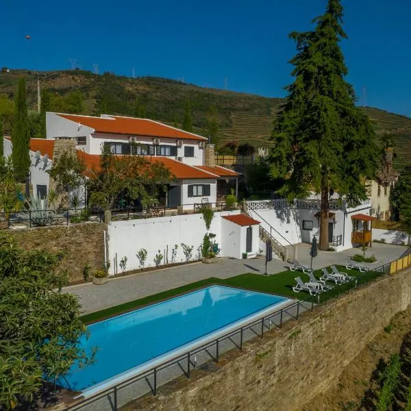 Quinta da Portela Douro，位于Salzedas的酒店