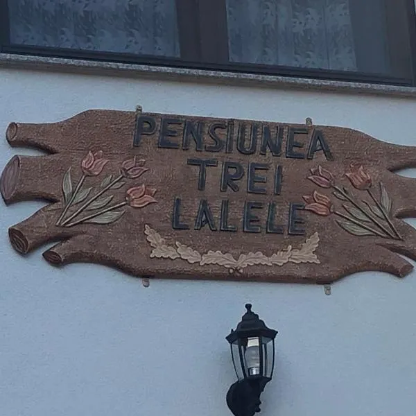 Pensiunea Trei Lalele，位于上维谢乌的酒店