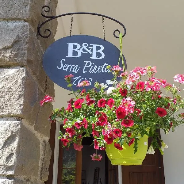 B&B Serra Pineta，位于Serramazzoni的酒店