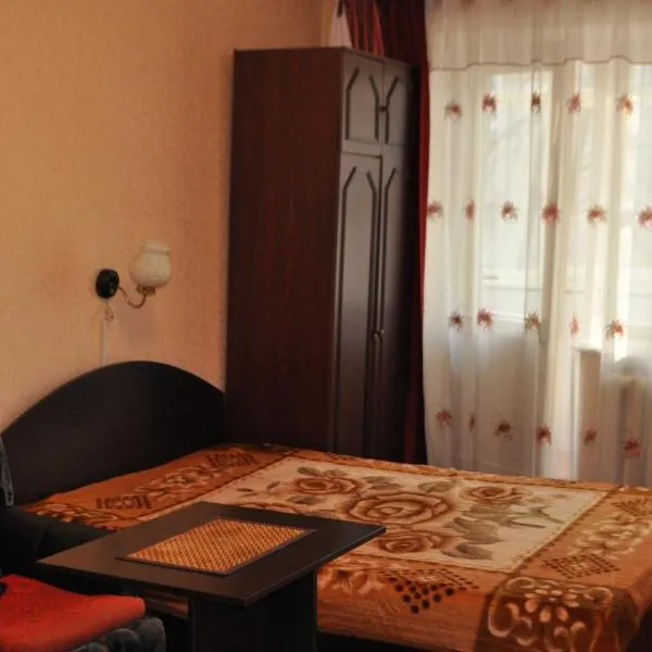 Apartment for rent Reasonable price，位于Omelʼnik的酒店