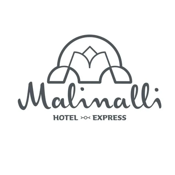 Malinalli Express，位于Apizaco的酒店