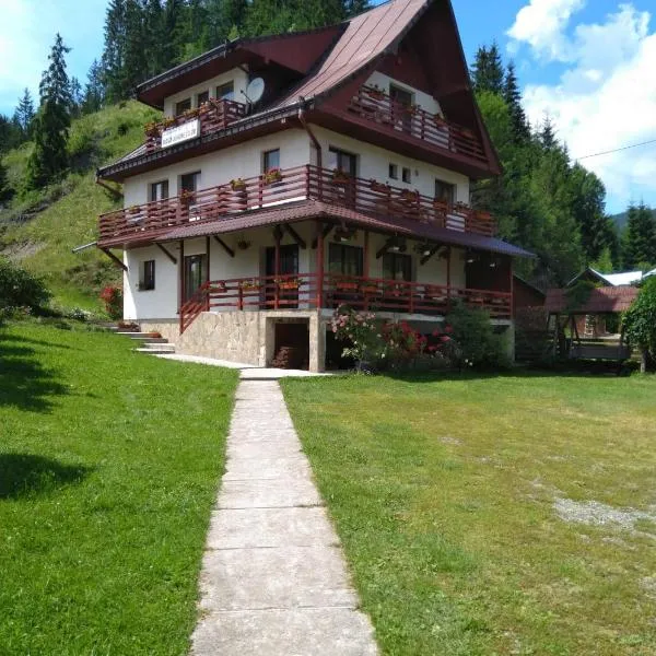 Pensiunea Roua Diminetilor，位于Ruşca的酒店