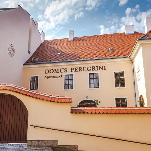 Domus Peregrini Apartmanok，位于杰尔的酒店