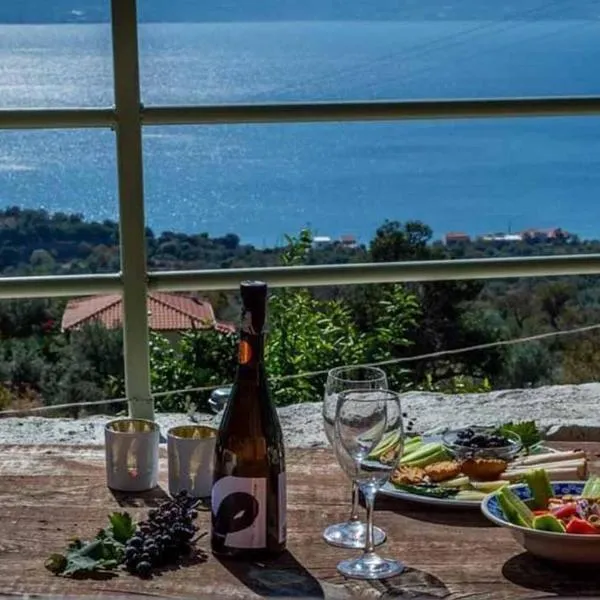 Arsinoe - Cosy guesthouse-，位于Paralia Kallonis的酒店