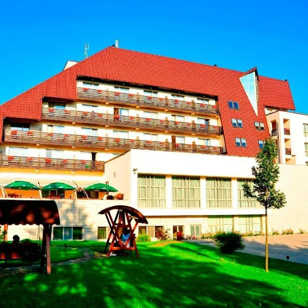 克莱蒙酒店，位于Greşu的酒店