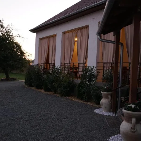 Casa Miriam，位于Păuliş的酒店
