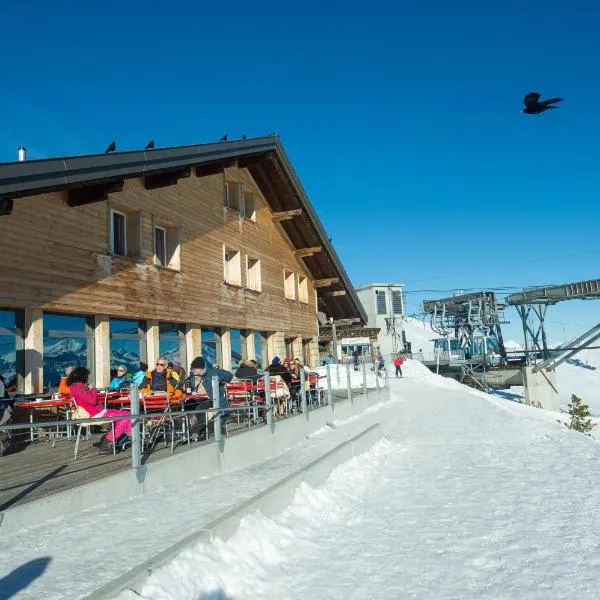 Berghaus Niederhorn，位于贝阿滕贝格的酒店