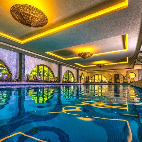 Budapest Airport Hotel Stáció Wellness & Konferencia，位于韦切什的酒店