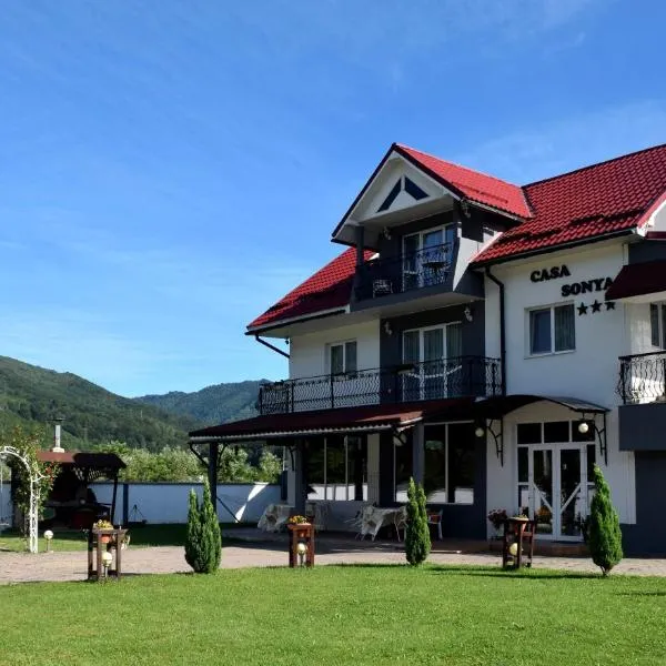 Casa Sonya，位于Aninoasa的酒店