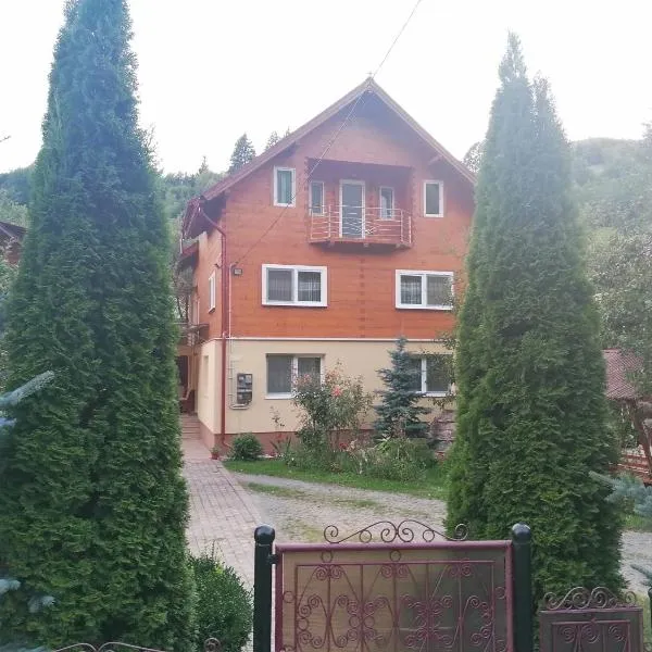 CASA TODEA，位于Vîrtop的酒店
