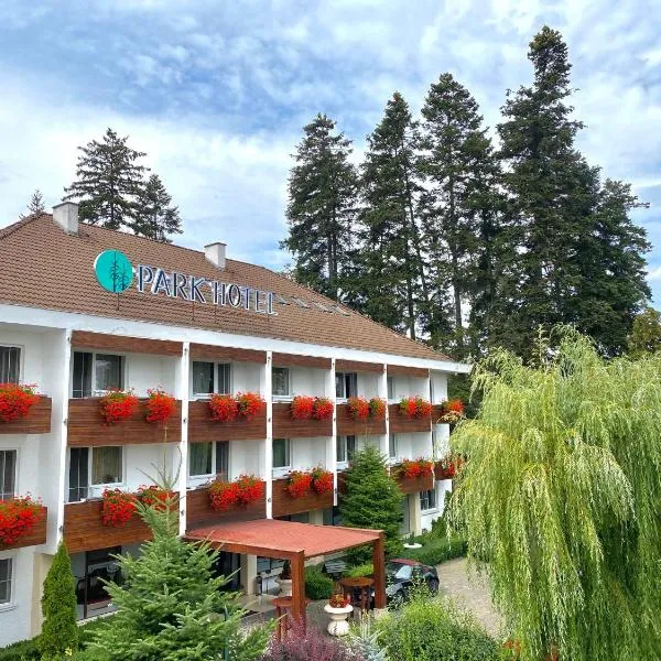 Hotel Park Sfantu Gheorghe，位于Vîlcele的酒店