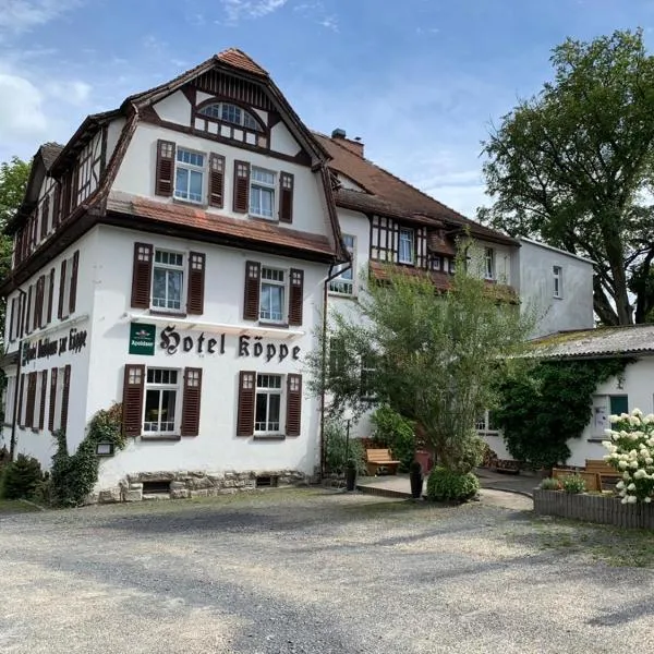 Hotel zur Köppe，位于巴德克洛斯特尔劳斯尼茨的酒店