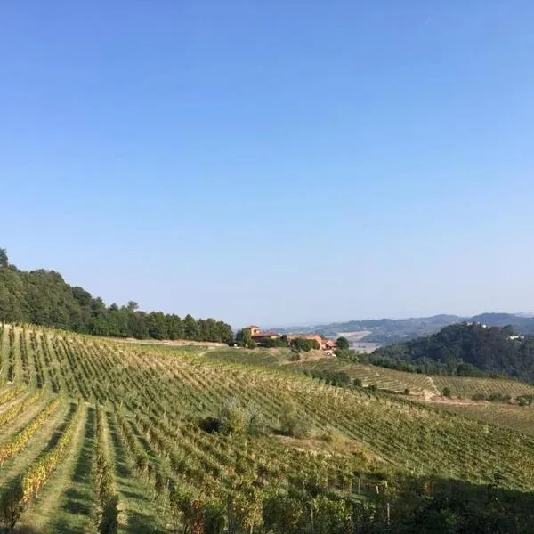 Albergo San Candido，位于阿尔法诺纳塔的酒店