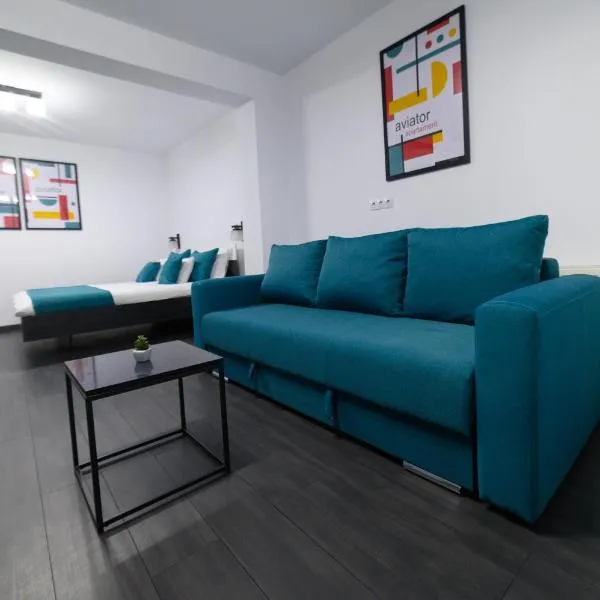 Aviator Apartament Alpha，位于德瓦的酒店