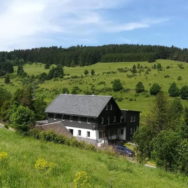 Familienpension Obere Juchhe, Ferienwohnung und Zimmer，位于Steinbach am Wald的酒店