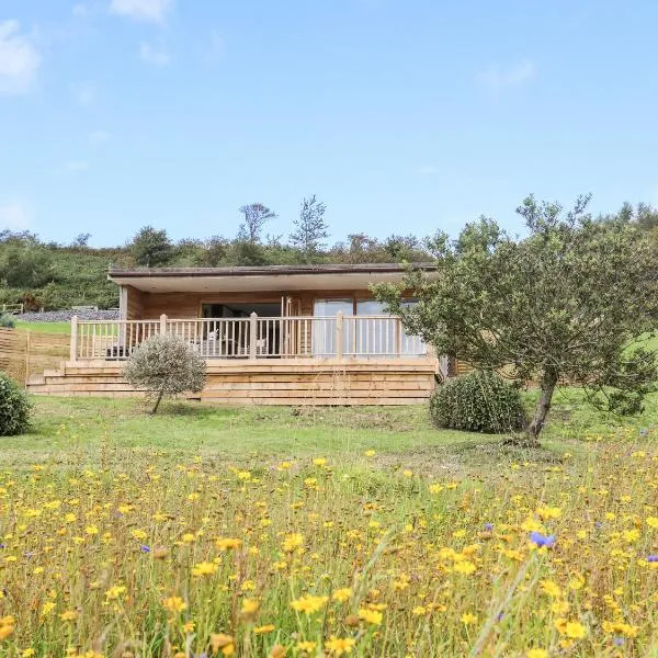 Meadow Lodge，位于科文的酒店