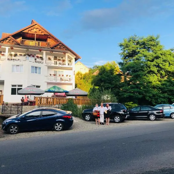 Pensiunea Casa Mariuca，位于Valea Vişeului的酒店