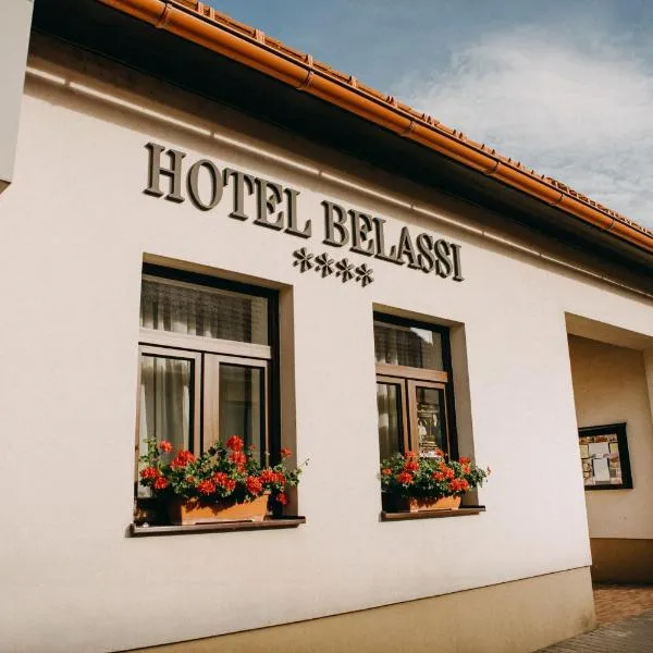 Hotel BELASSI，位于Veľká Čausa的酒店