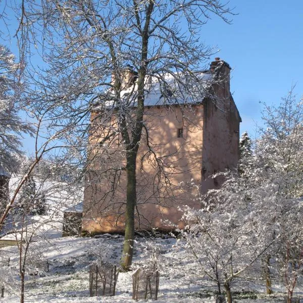 Barns Tower，位于Drummelzier的酒店