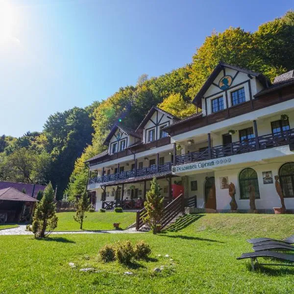 Pensiunea Ciprian，位于Brădetu的酒店
