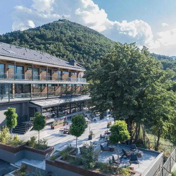 The Lynx Mountain Resort，位于Vévi的酒店