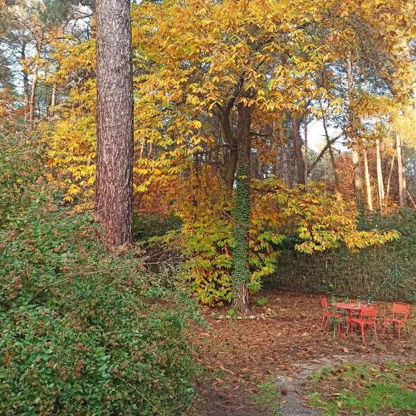 l'oasi nel bosco，位于索马伦巴多的酒店