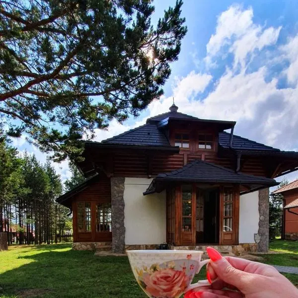 Vila Panić Zlatibor，位于Priboj的酒店