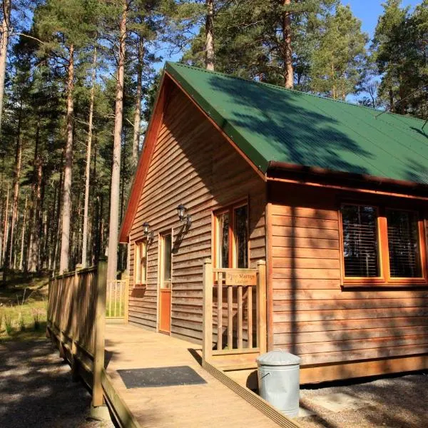 Cairngorm Lodges，位于Kincardine OʼNeil的酒店